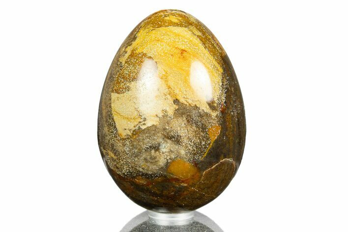 Polished Petrified Wood Egg - Australia #309045